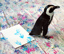 216x182 Calendar - Penguin Feet Painting