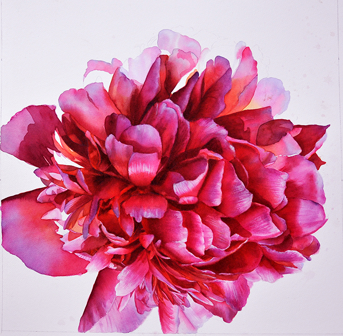680x665 How To Create Your Best Flower Painting - Peony Flower Painting