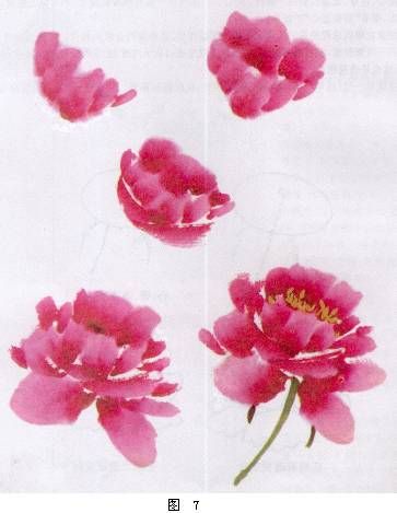 363x469 How To Paint Peony Chinese Painting Peony Peony - Peony Flower Painting