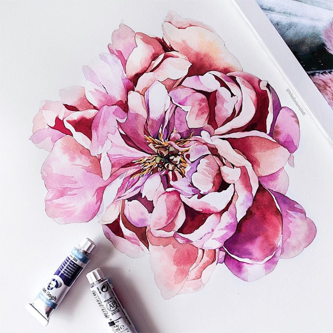 1080x1080 Media (@mediajamshidi) Instagram - Peony Flower Painting