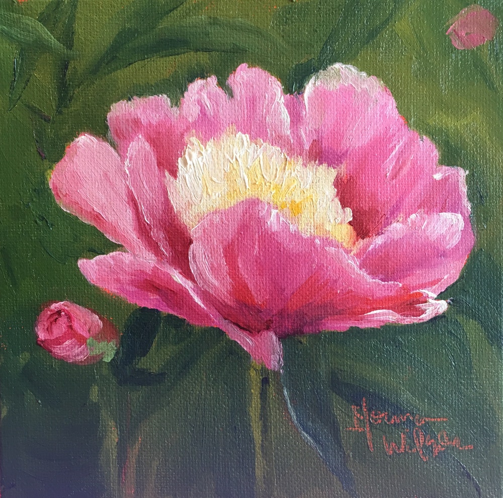 1000x990 Norma Wilson Original Oil Pink Peony Floral Flower Painting Art By - Peony Flower Painting