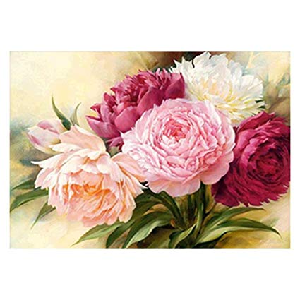 425x425 Rrimin 5d Full Diamond Peony Flower Painting Embroidery Diy Cross - Peony Flower Painting