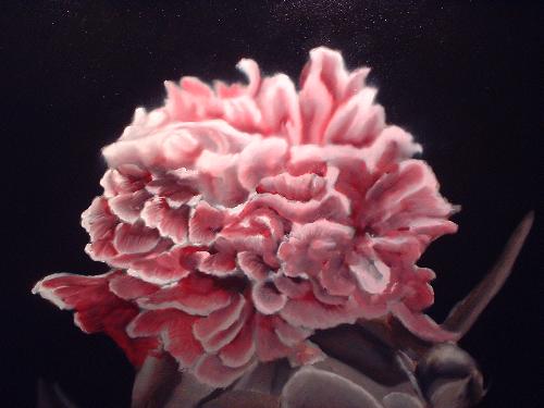 500x375 The Peony Flower, An Intricate And Difficult Flower To Paint. - Peony Flower Painting