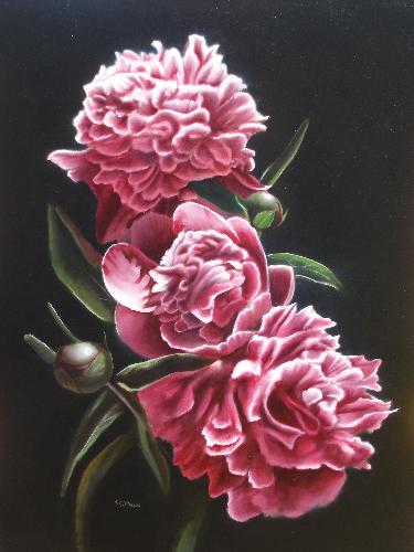375x500 The Peony Flower, An Intricate And Difficult Flower To Paint. - Peony Oil Painting