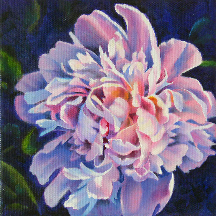 750x750 Bright Day Peony Oil Flower Painting Bfoxfineart - Peony Oil Painting