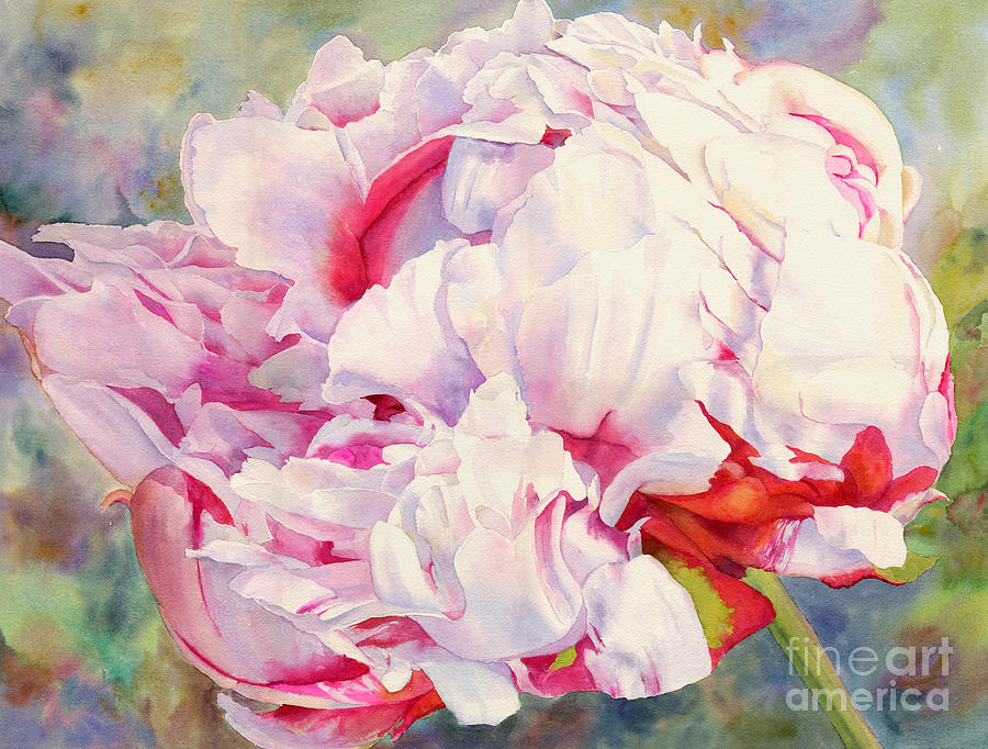 900x682 Peony Painting By Dorothy Boyer - Peony Painting
