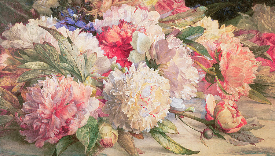 900x510 Peony Paintings Fine Art America - Peony Painting
