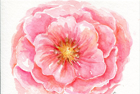 Peony Watercolor Painting At Paintingvalley.com 