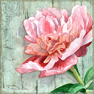 300x300 Peony Watercolor Paintings Fine Art America - Peony Watercolor Painting