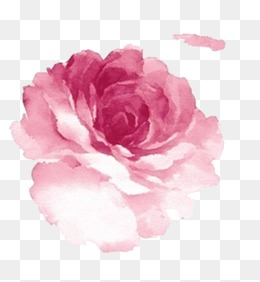 260x282 Watercolor Peony Png, Vectors, Psd, And Clipart For Free Download - Peony Watercolor Painting