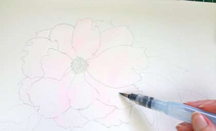 420x255 How To Paint A Peony In Watercolor Ashleypicanco - Peony Watercolor Painting