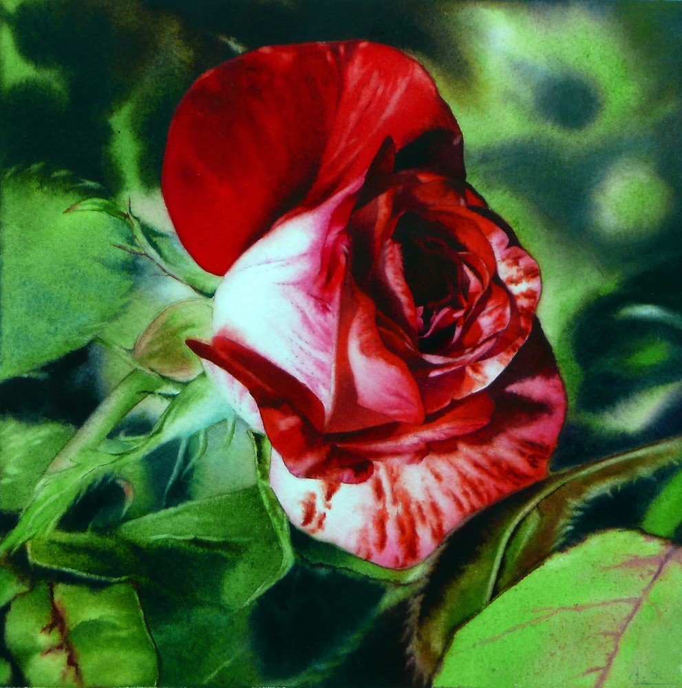 991x1000 Peppermint Rose - Peppermint Painting