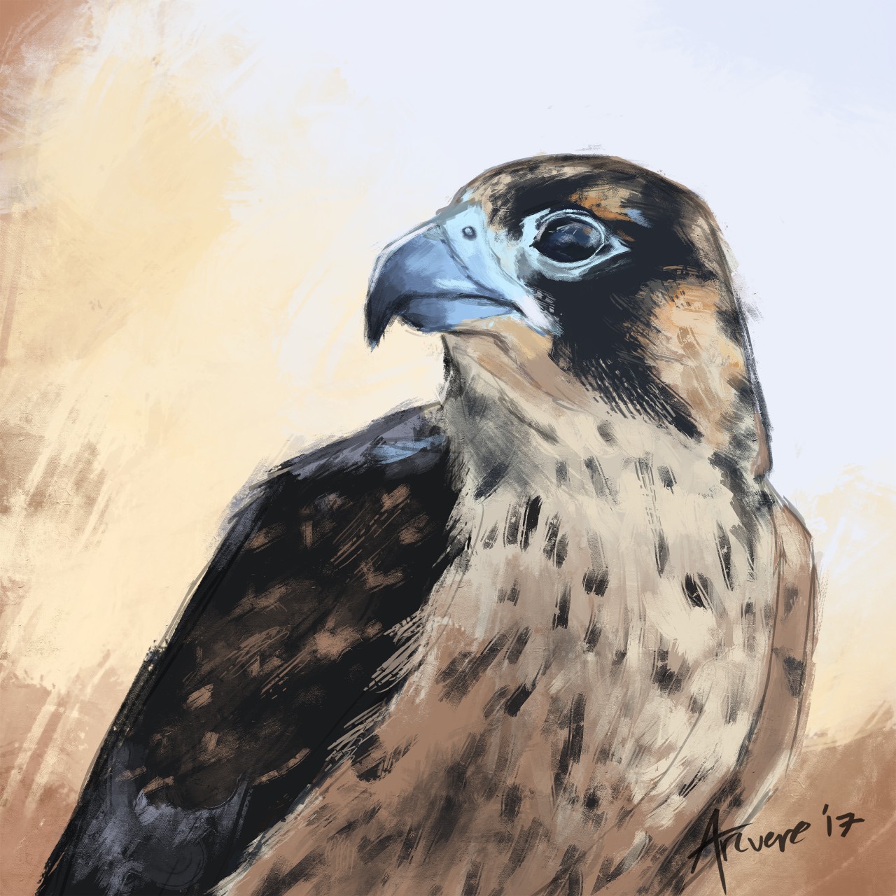 1280x1280 Peregrine Falcon Painting By Arcvere - Peregrine Falcon Painting