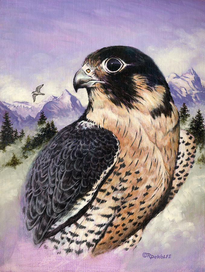 679x900 Peregrine Falcon Painting By Richard De Wolfe - Peregrine Falcon Painting