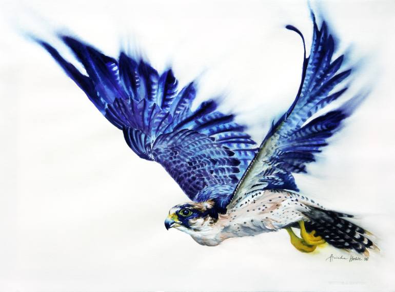 Peregrine Falcon Painting At Explore Collection Of