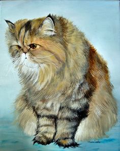 236x296 Persian Cat, Pet Portrait, Dawgart, Dog Art, Pet Portrait Artist - Persian Cat Painting
