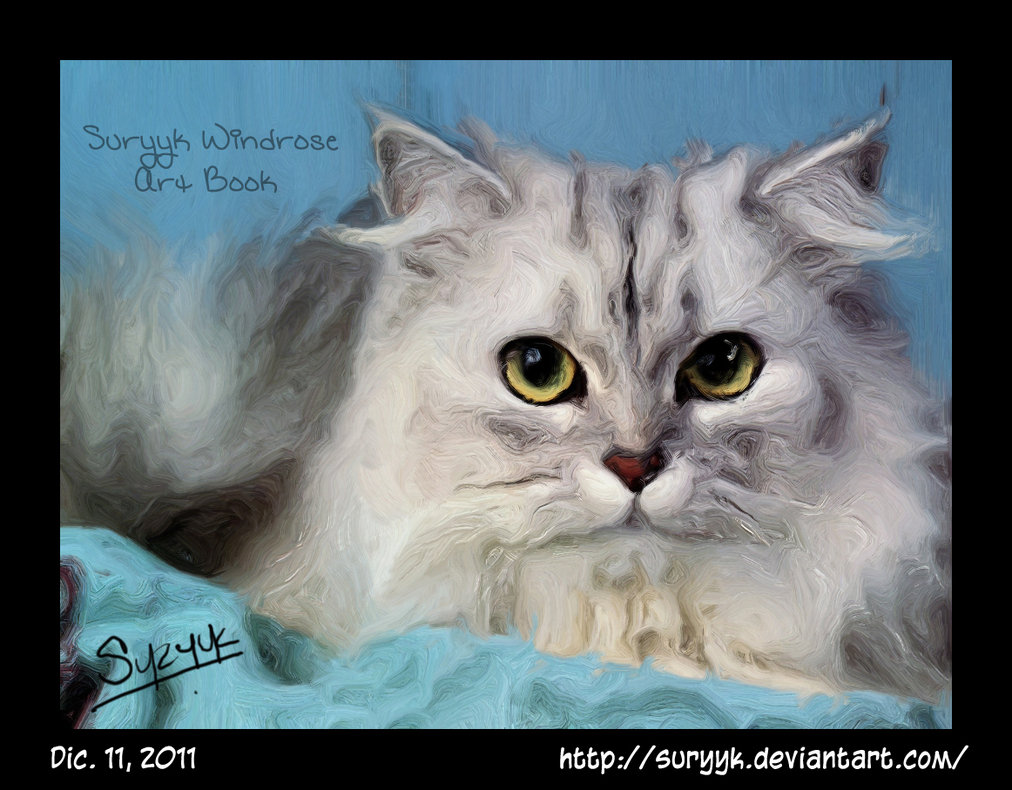 1012x790 Persian Cat Oil Painting By Suryyk - Persian Cat Painting