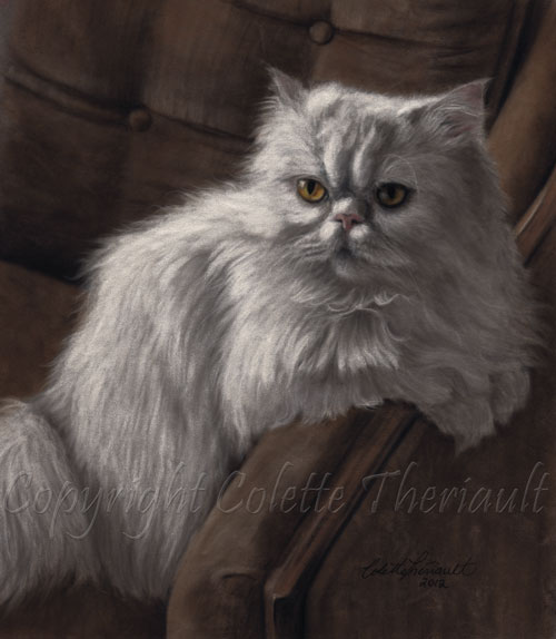 500x574 Persian Cat Portrait In Pastel Feline Pet Portraits Paintings By - Persian Cat Painting