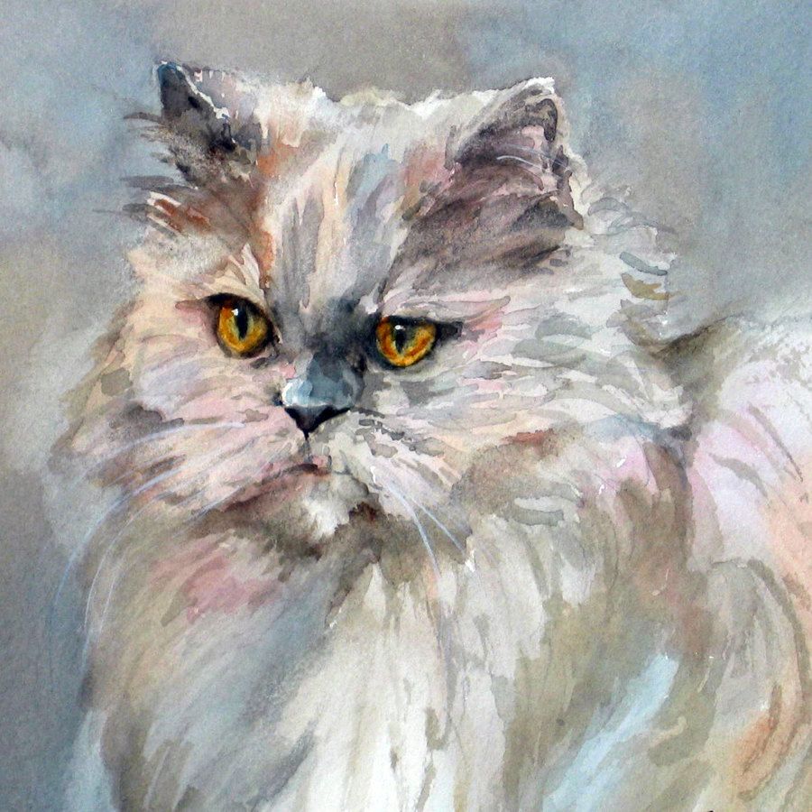 900x900 Persian Cat Printpersian Cat Watercolorpersian Cat Art - Persian Cat Painting
