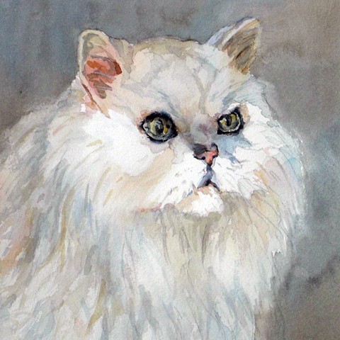 480x480 Edie Fagan - Persian Cat Painting
