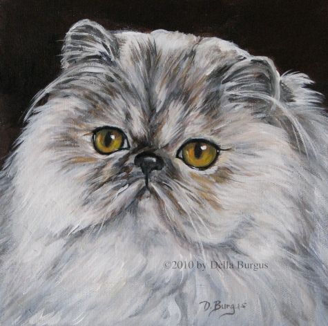 475x472 Feline Art Cats Persian Cat By Della Burgus, Painting By Artist - Persian Cat Painting