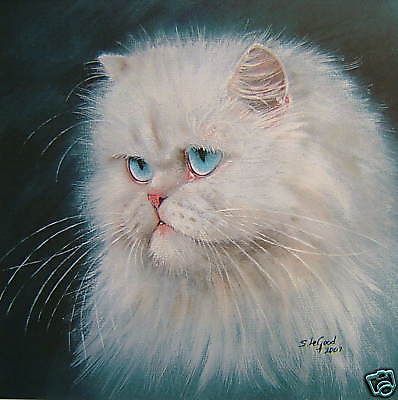 398x400 Limited Edition White Persian Cat Painting Print From Original - Persian Cat Painting