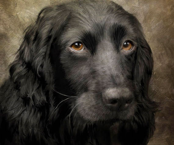 570x475 Personalized Pet Paintings - Personalized Painting