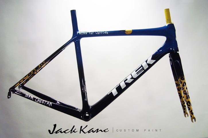 725x483 Custom Painted Bicycle Photos And Restorations By Jack Kane - Personalized Painting