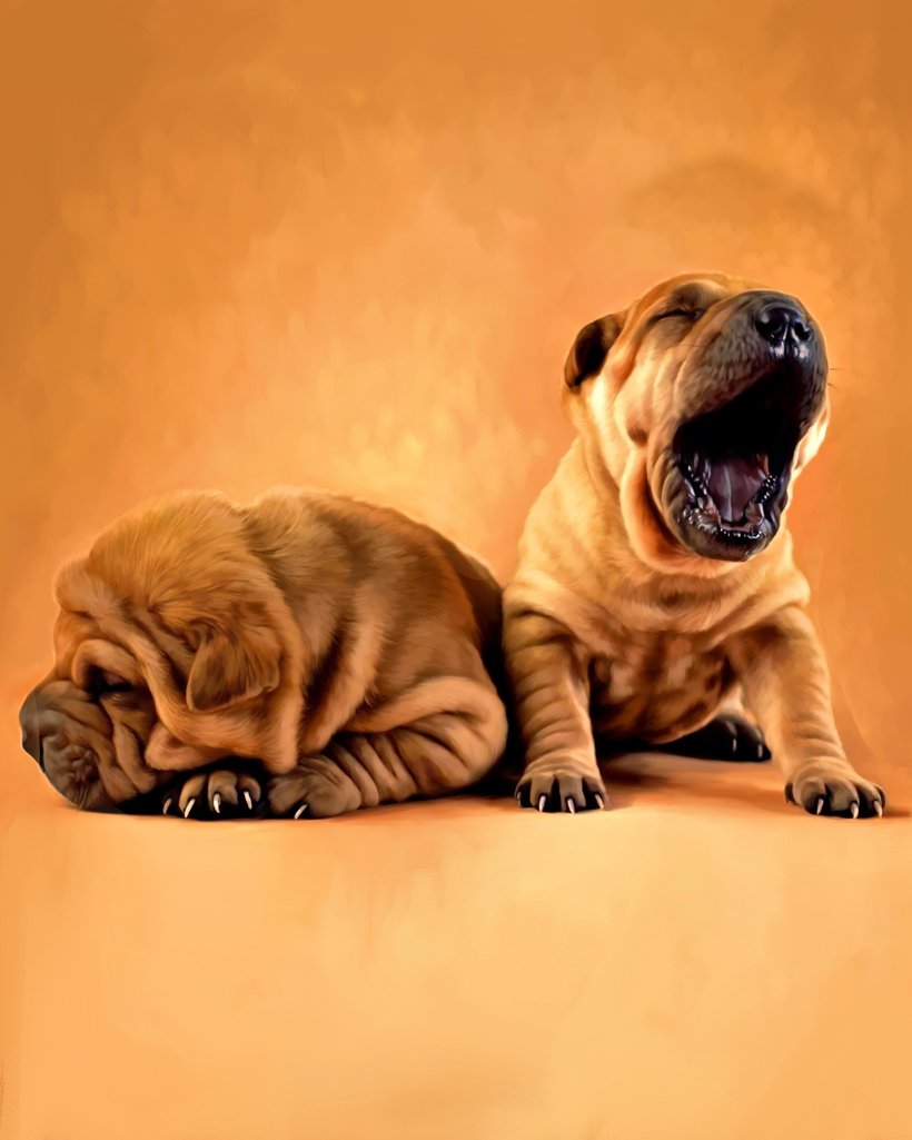 820x1025 Digital Pet Painting Portrait Artwork - Pet Painting