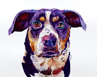 340x270 Pet Portraits Etsy - Pet Painting