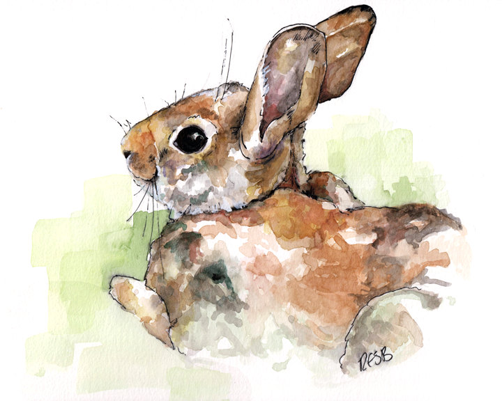 720x576 Bunny Nursery Painting Print From Original Watercolor - Peter Rabbit Painting