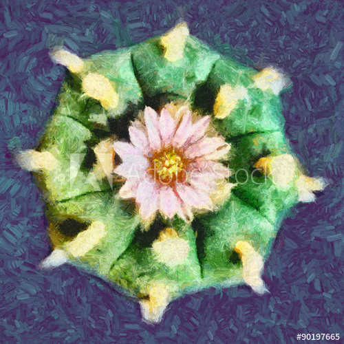 500x500 Lophophora Williamsii Peyote Plant With Flower Oil Painting - Peyote Painting