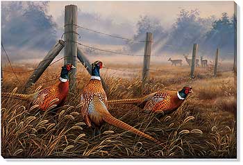350x238 Pheasant Art Wild Wings - Pheasant Painting