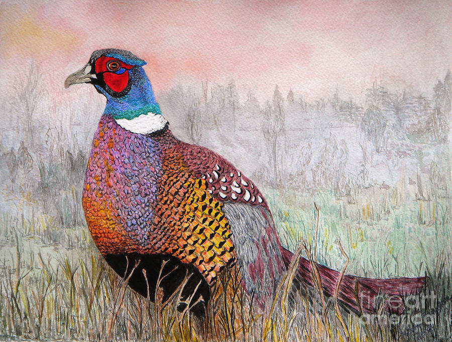 900x681 Pheasant Dawn Painting By Yvonne Johnstone - Pheasant Painting