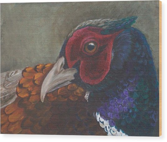 536x455 Pheasant Painting By Sandra Achterling - Pheasant Painting