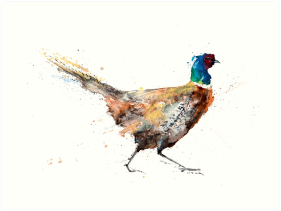 549x413 Pheasant Watercolour Painting By Syman Kaye Art Prints By Syman - Pheasant Painting