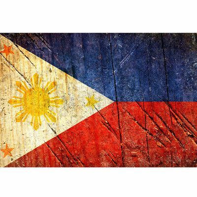 Philippine Flag Painting at PaintingValley.com | Explore collection of ...