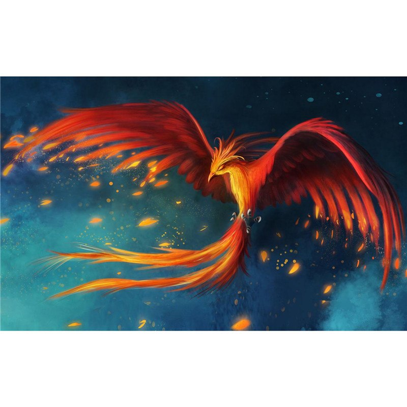800x800 Phoenix Bird Drawings 5d Diy Diamond Painting Cross Stitch Aminal - Phoenix Bird Painting