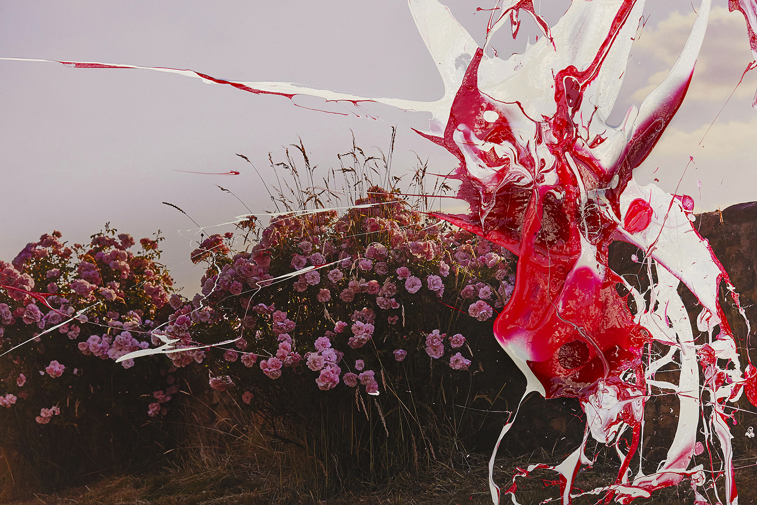 1500x1000 Painted Photograph Series Peter Westh Fine Art Photographer - Photography Painting