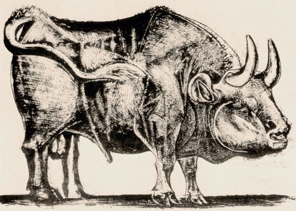 Picasso Bull Painting