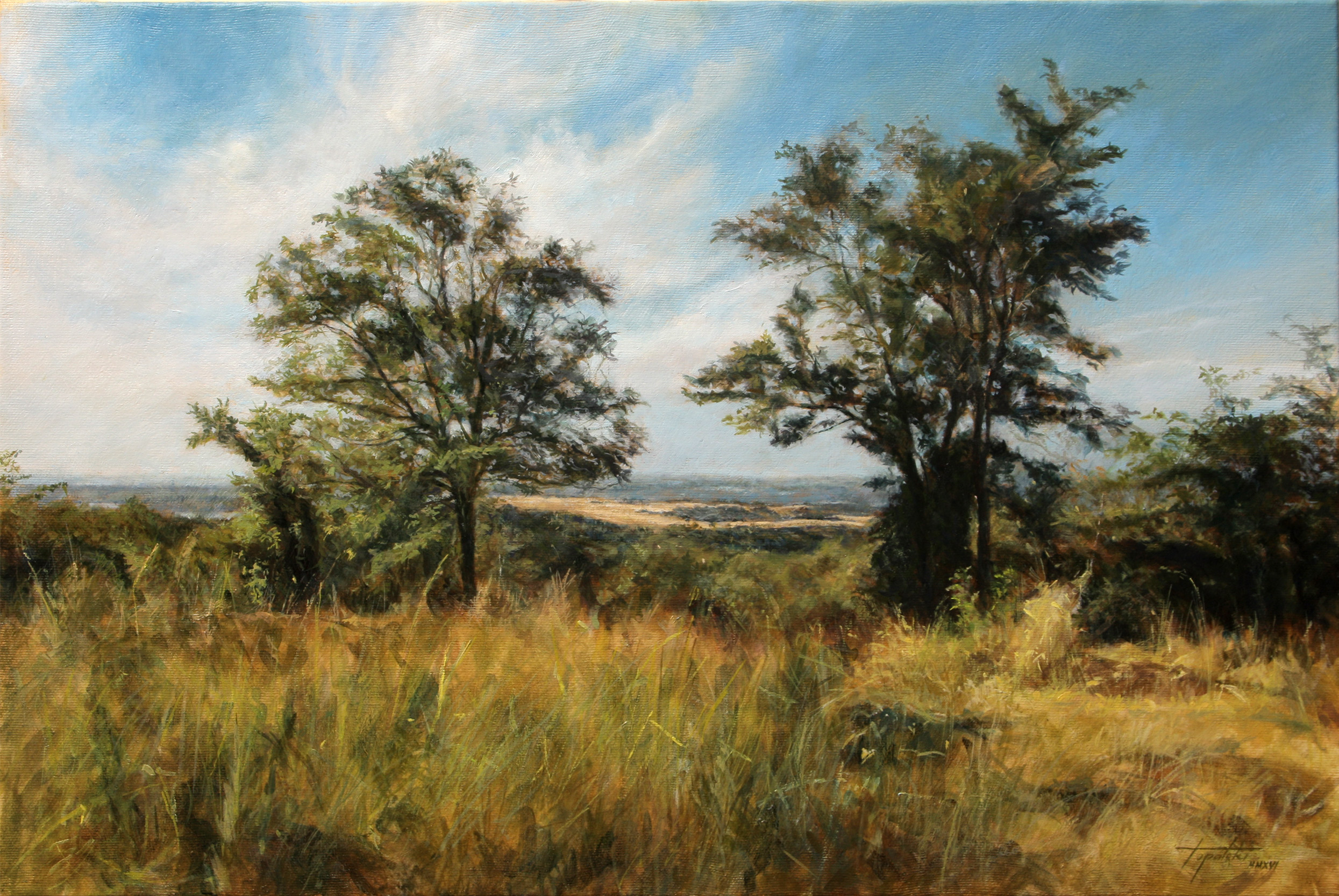 2490x1666 In The Country Landscape Oil Painting Fine Arts Gallery - Picture To Oil Painting