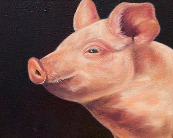 340x270 Pig Art Print From Original Oil Painting Farm Art Pig - Pig Oil Painting
