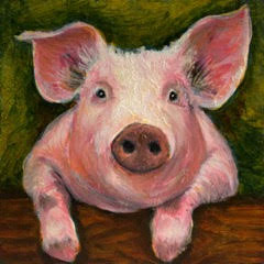 240x240 Sold - Pig Oil Painting
