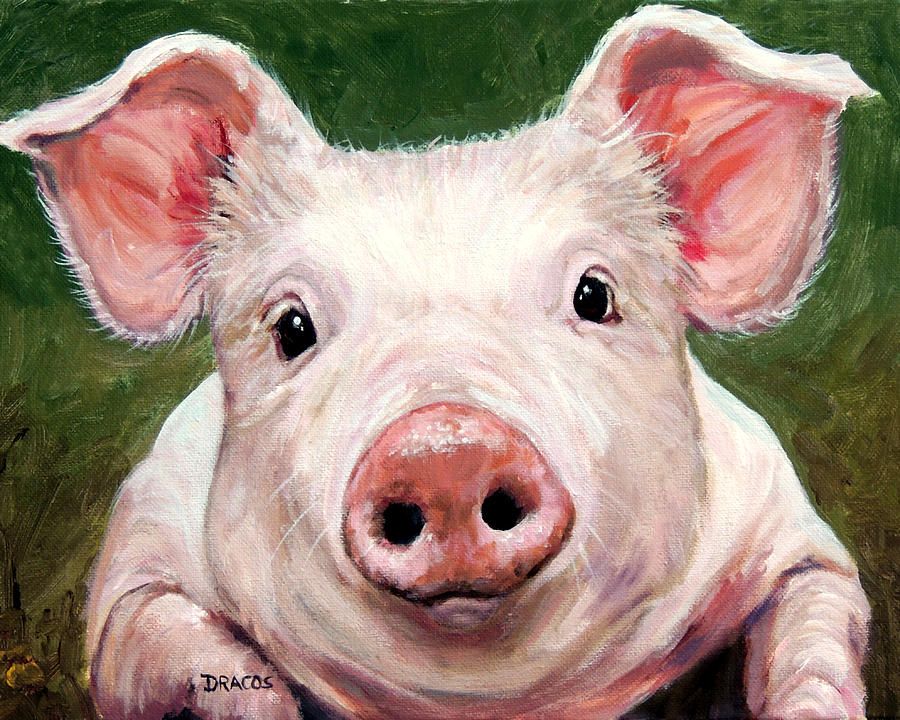 Pig Oil Painting At Explore Collection Of Pig Oil