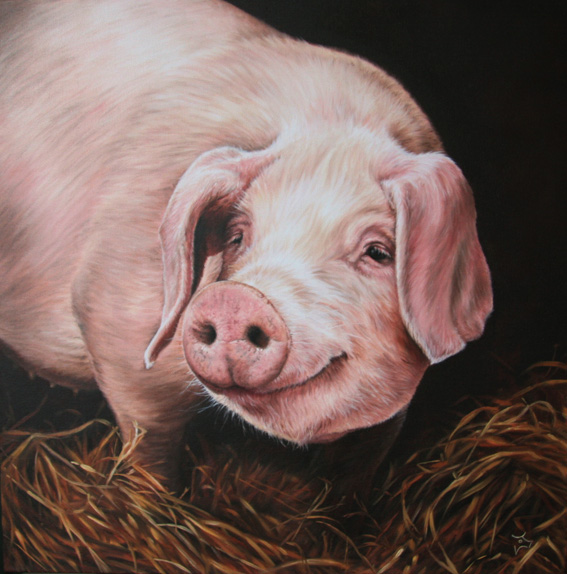 567x574 Pig Oil Painting - Pig Oil Painting