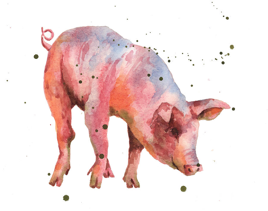 900x710 Pig Painting Painting By Alison Fennell - Pig Painting A Picture