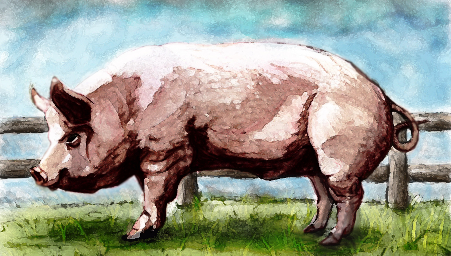 1562x887 Roger Marshall - Pig Painting A Picture