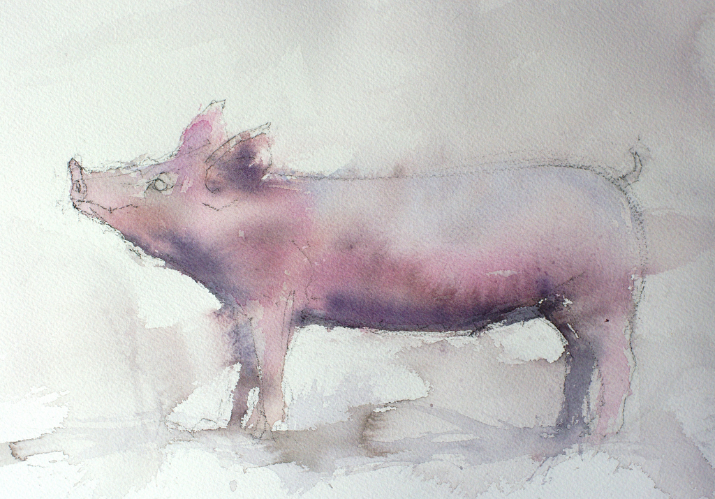 1024x715 Watercolor Pig Splashing Paint - Pig Painting A Picture