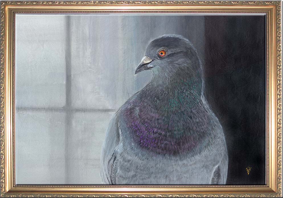 994x696 New Pigeon Painting Finally Finished!!! Images And Imagination - Pigeon Painting