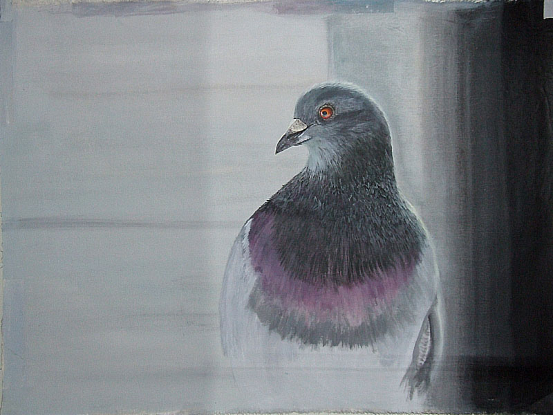 800x600 Renaming The New Pigeon Painting Progress (Wip) Images - Pigeon Painting